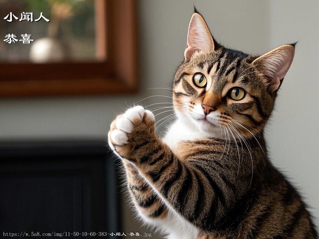 小闻人恭喜搞笑图片