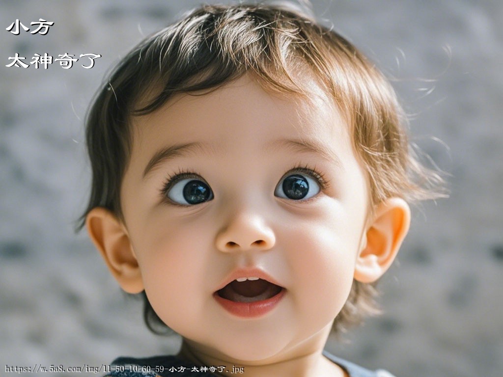 小方太神奇了搞笑图片