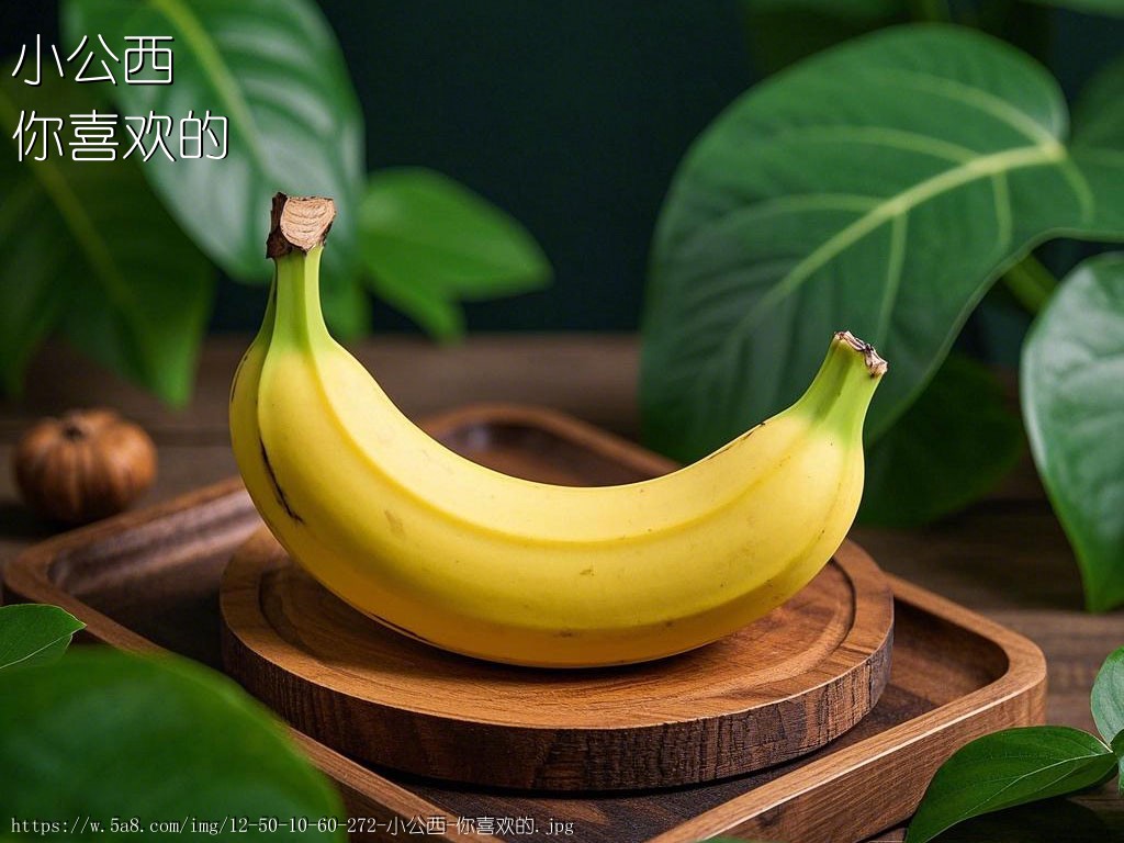 小公西你喜欢的搞笑图片