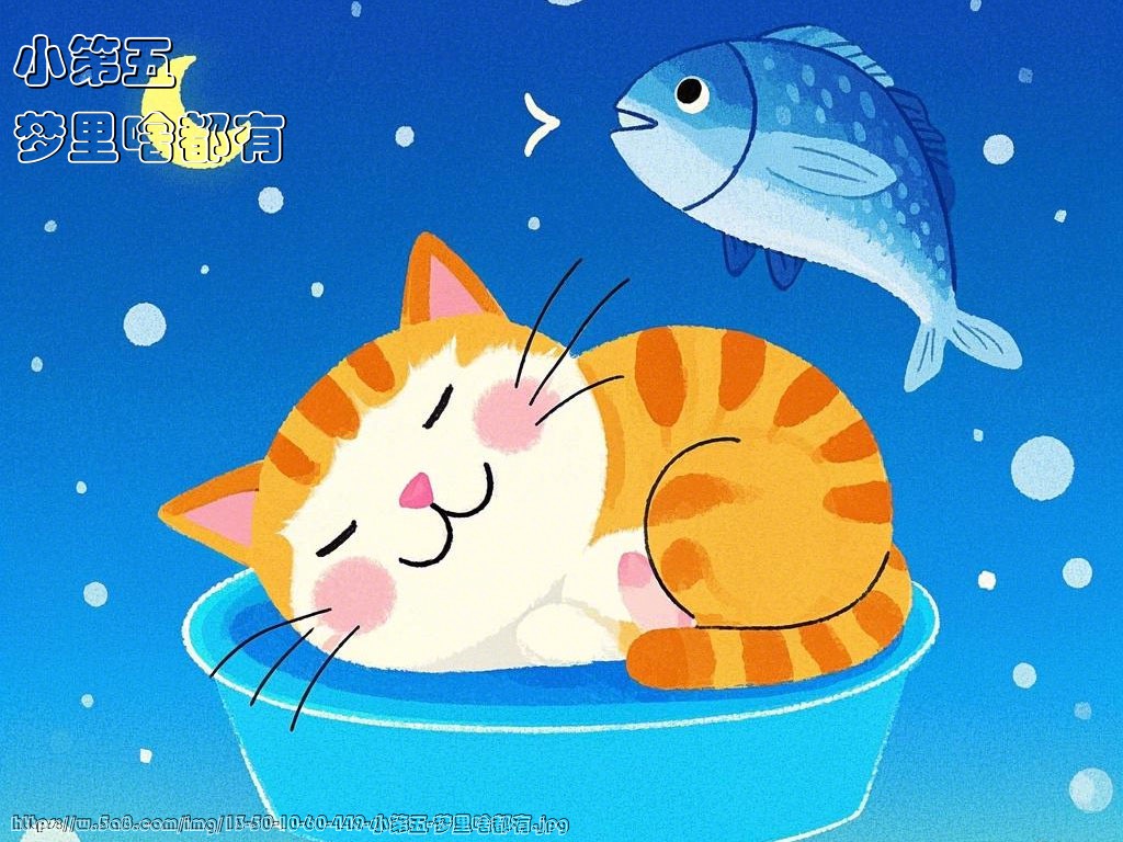 小第五梦里啥都有搞笑图片