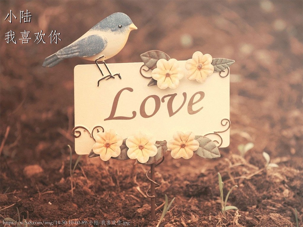 小陆我喜欢你搞笑图片