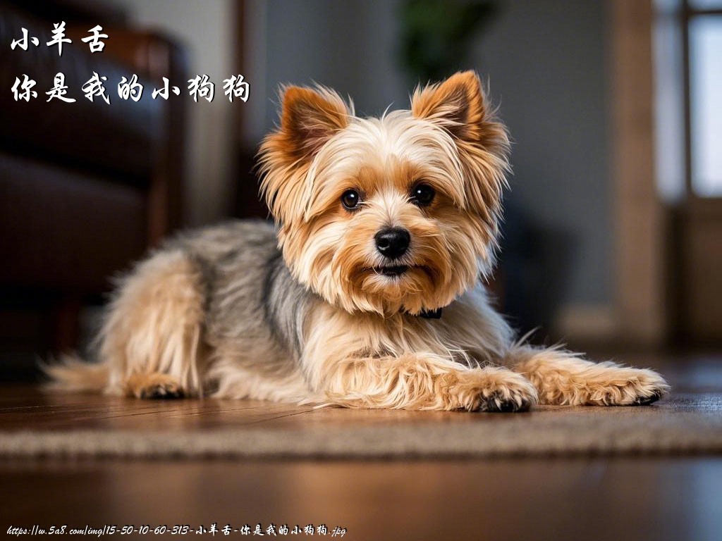 小羊舌你是我的小狗狗搞笑图片