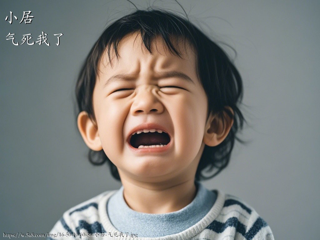 小居气死我了搞笑图片