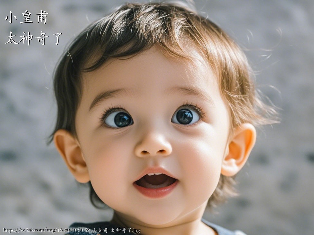 小皇甫太神奇了搞笑图片