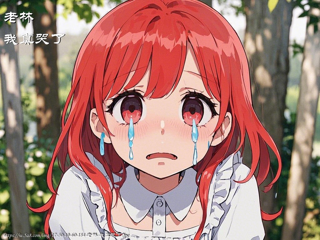 老林我真哭了搞笑图片