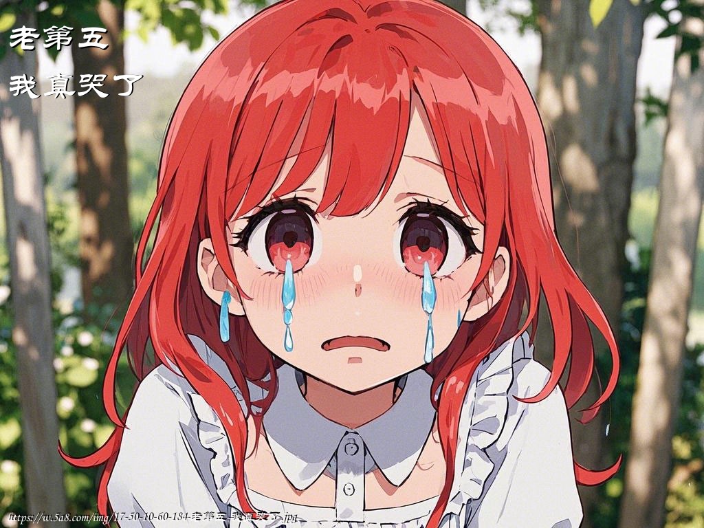 老第五我真哭了搞笑图片