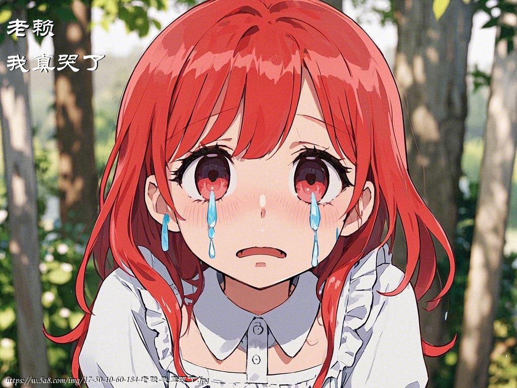 老赖我真哭了搞笑图片