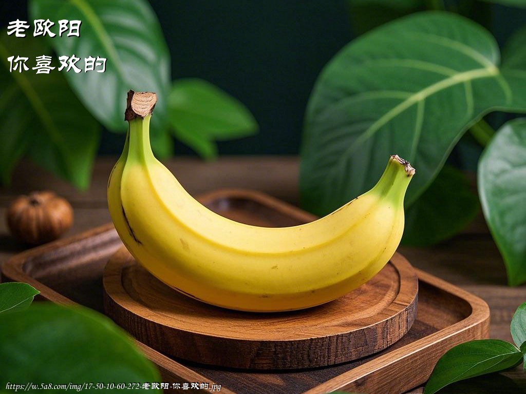 老欧阳你喜欢的搞笑图片