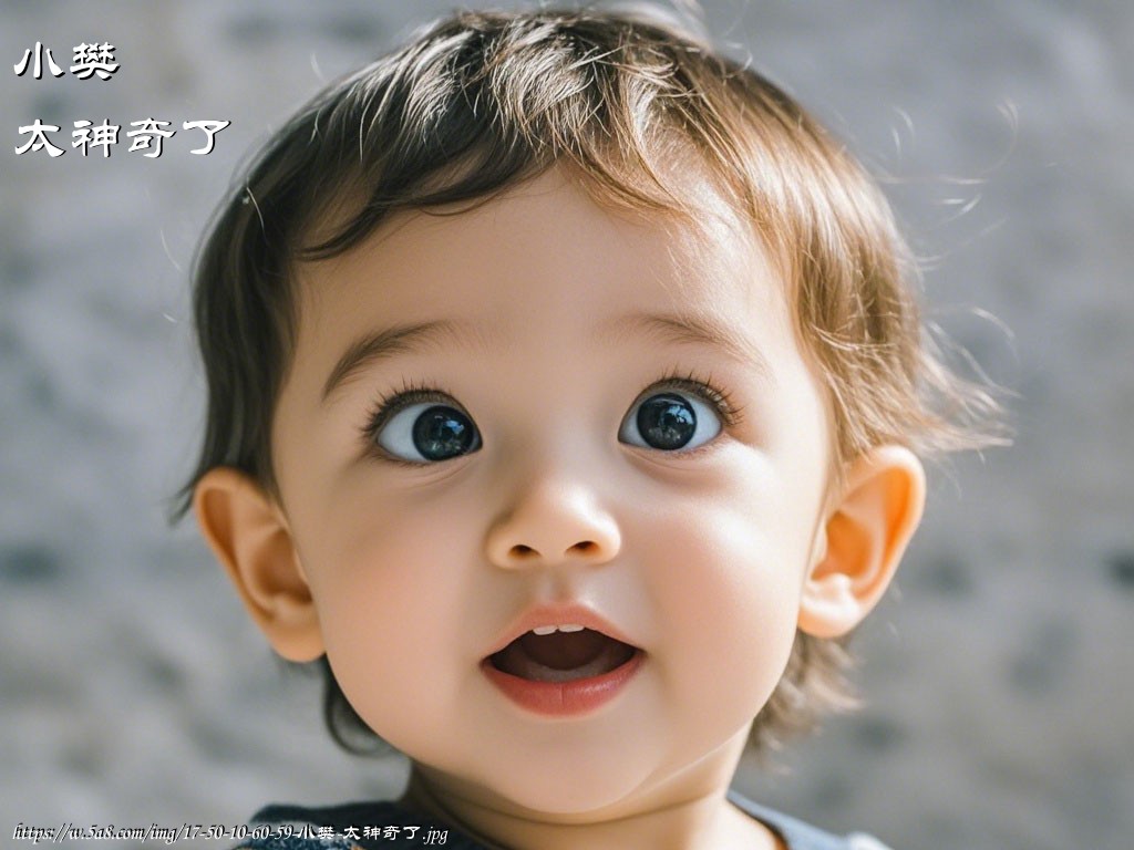 小樊太神奇了搞笑图片