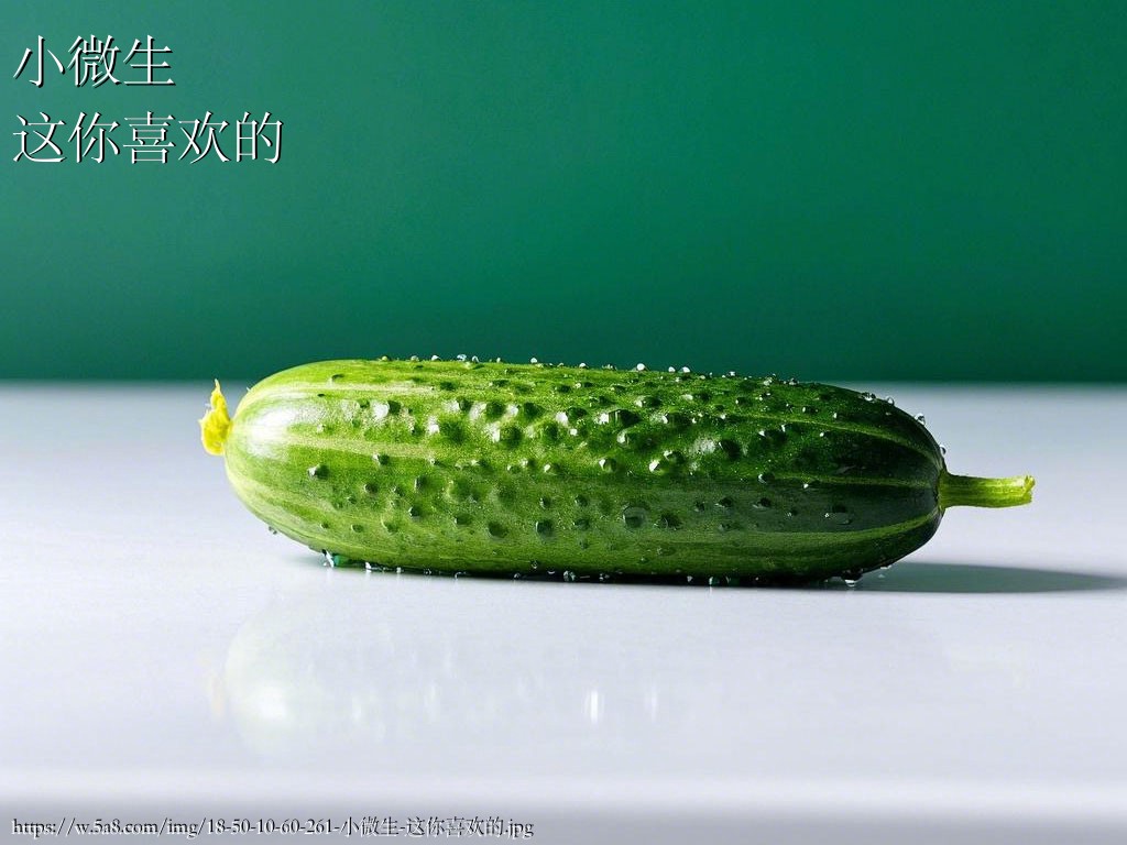 小微生这你喜欢的搞笑图片