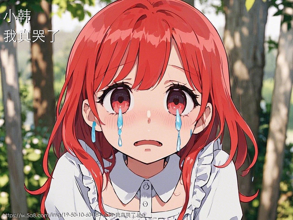 小韩我真哭了搞笑图片