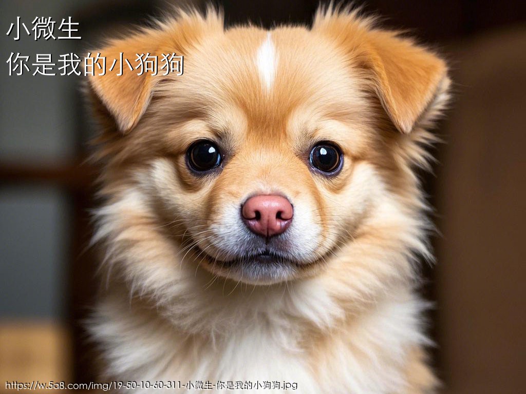 小微生你是我的小狗狗搞笑图片