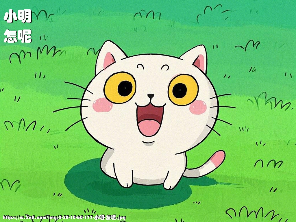 小明怎呢搞笑图片