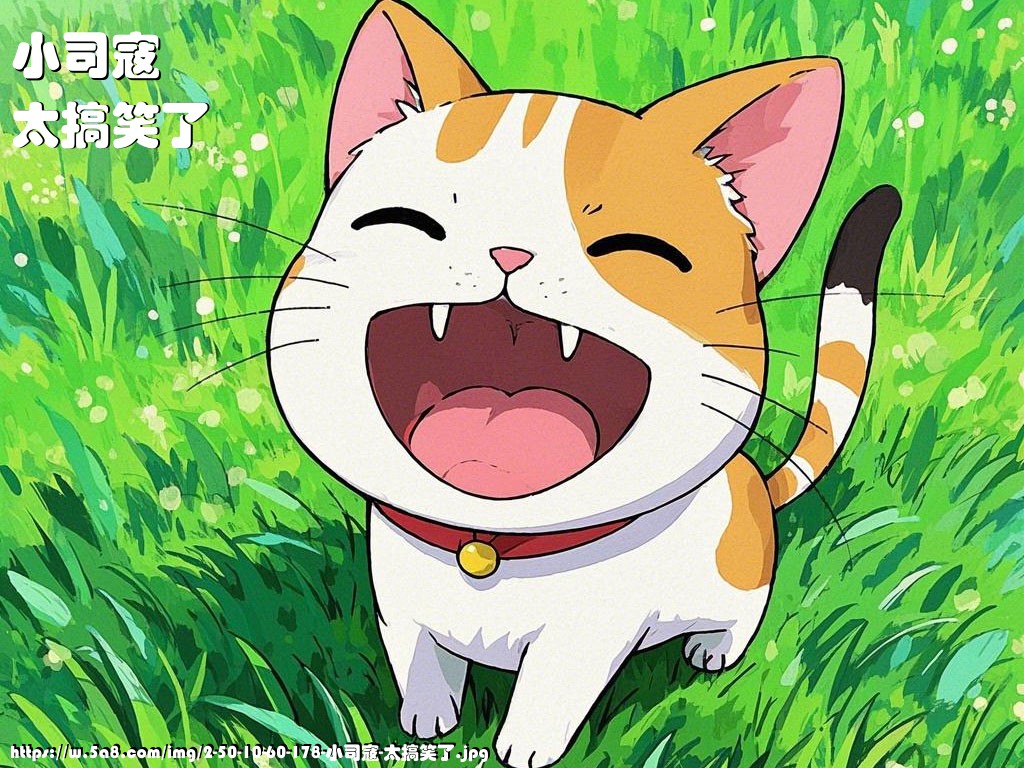 小司寇太搞笑了搞笑图片