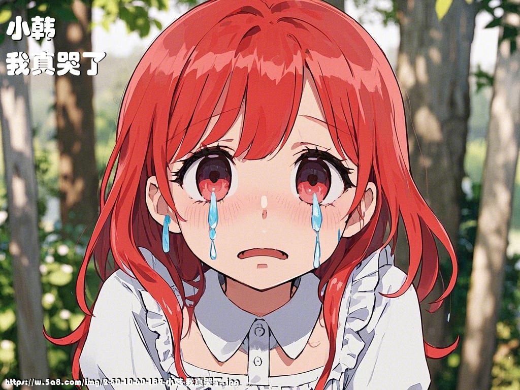 小韩我真哭了搞笑图片