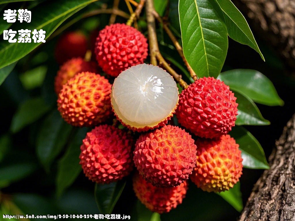 老鞠吃荔枝搞笑图片