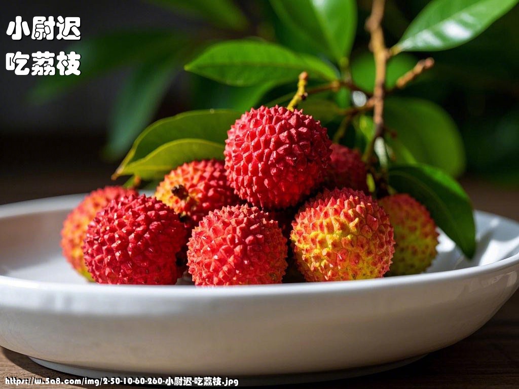 小尉迟吃荔枝搞笑图片