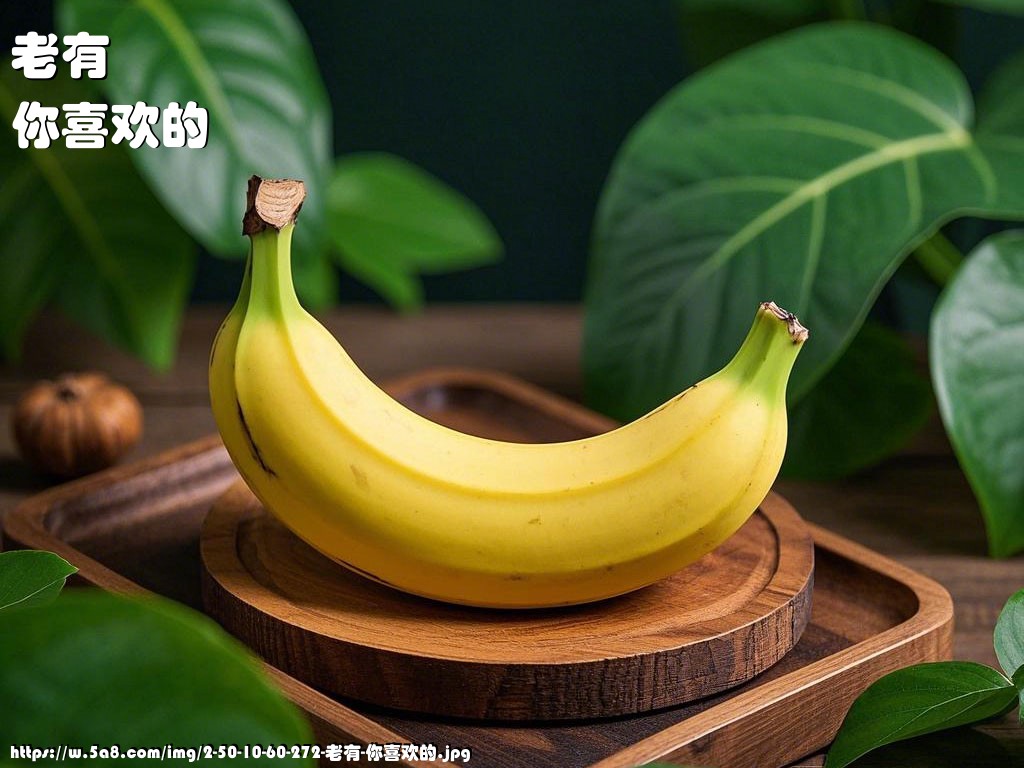 老有你喜欢的搞笑图片