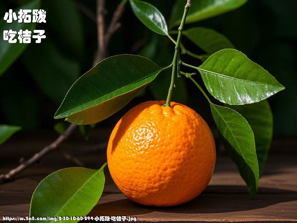 小拓跋吃桔子搞笑图片