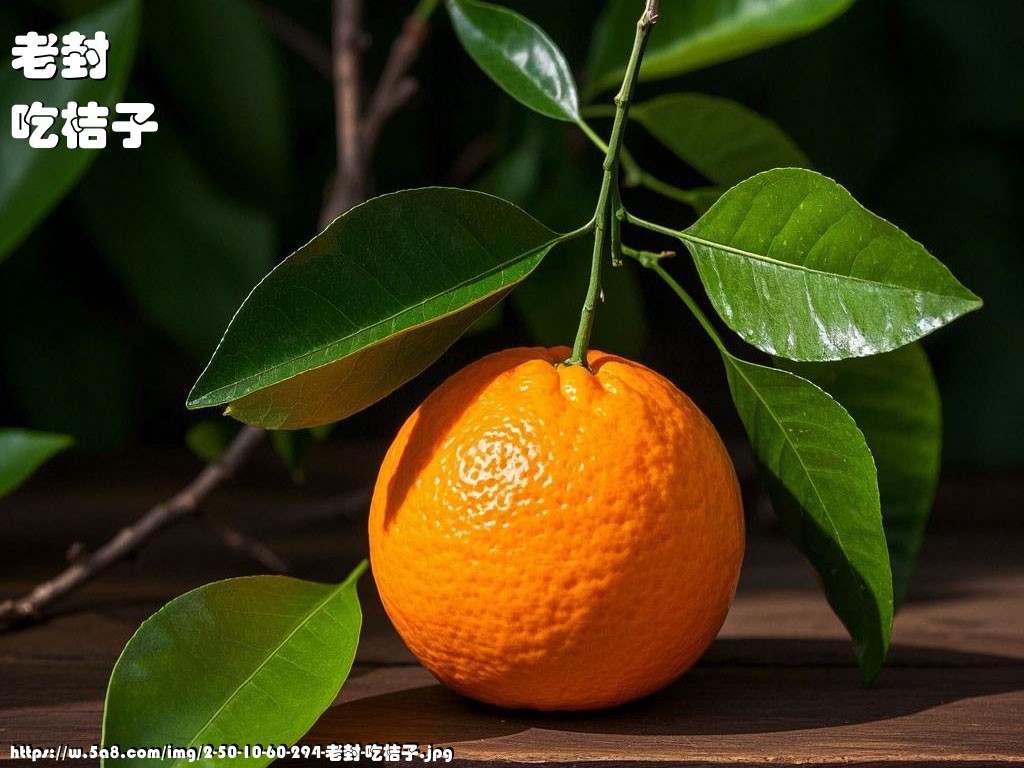 老封吃桔子搞笑图片