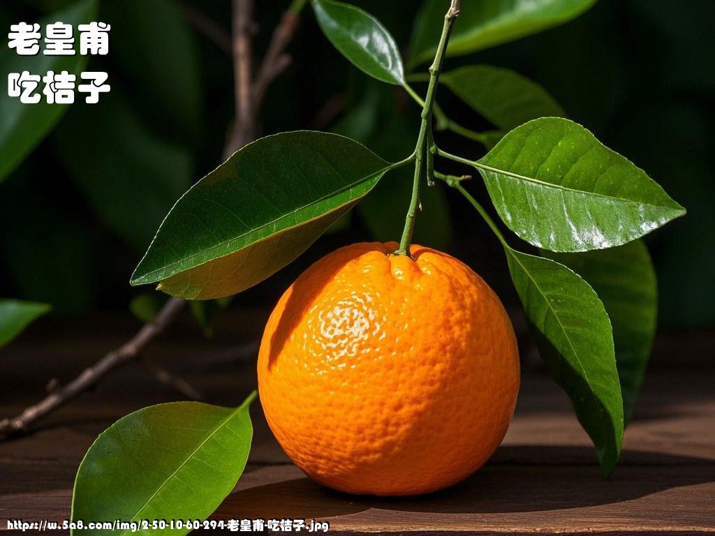 老皇甫吃桔子搞笑图片