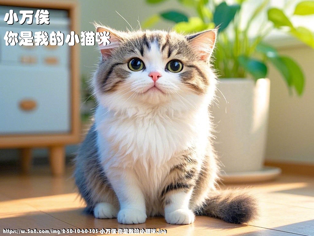 小万俟你是我的小猫咪搞笑图片