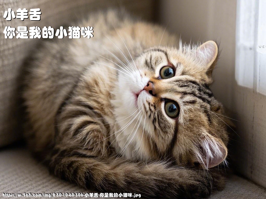 小羊舌你是我的小猫咪搞笑图片