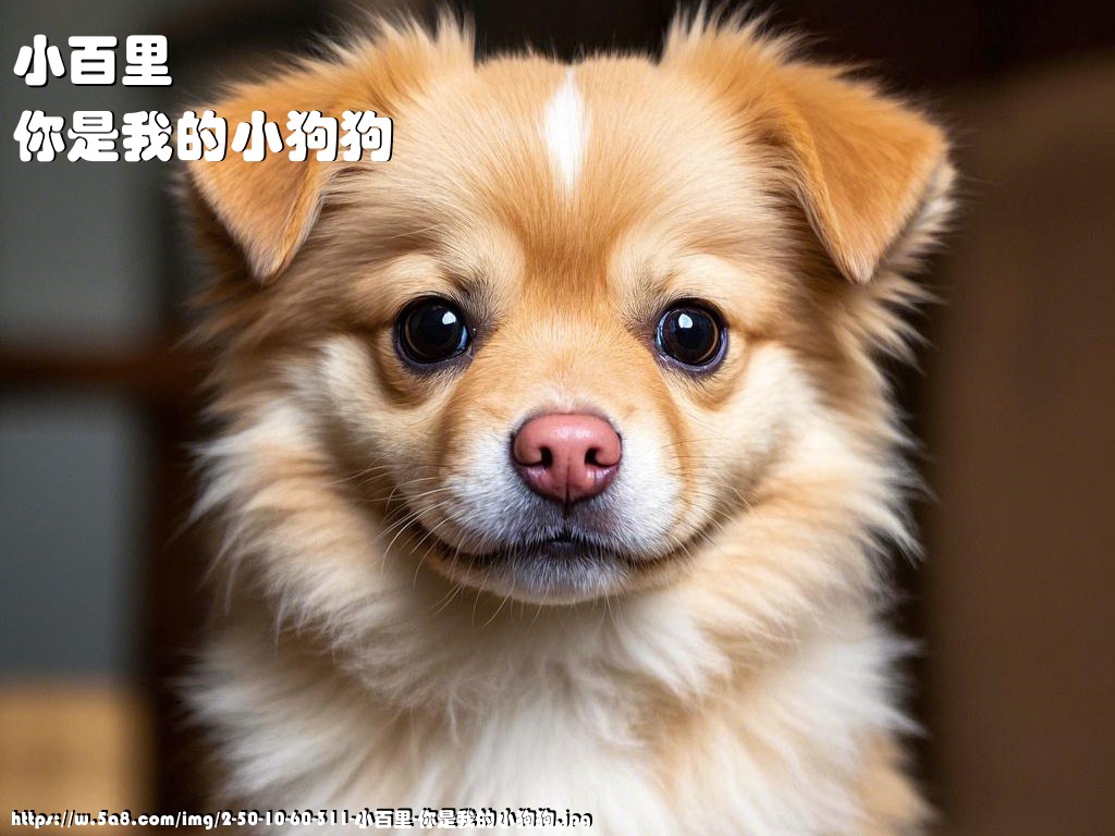 小百里你是我的小狗狗搞笑图片