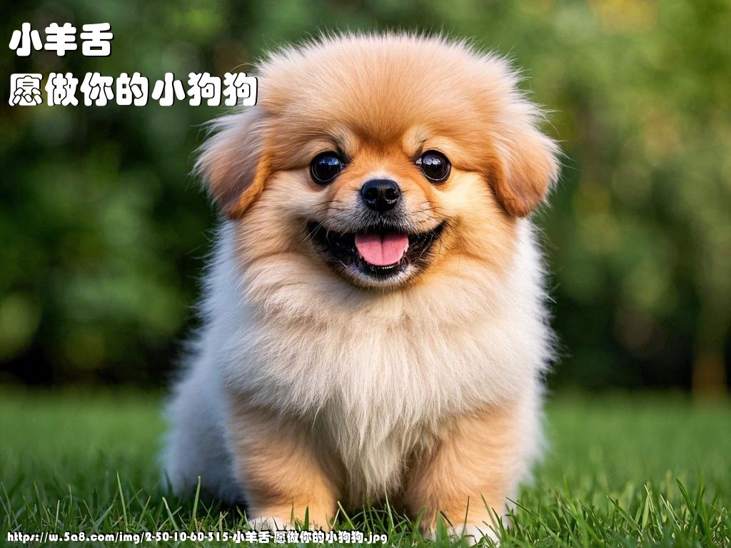 小羊舌愿做你的小狗狗搞笑图片