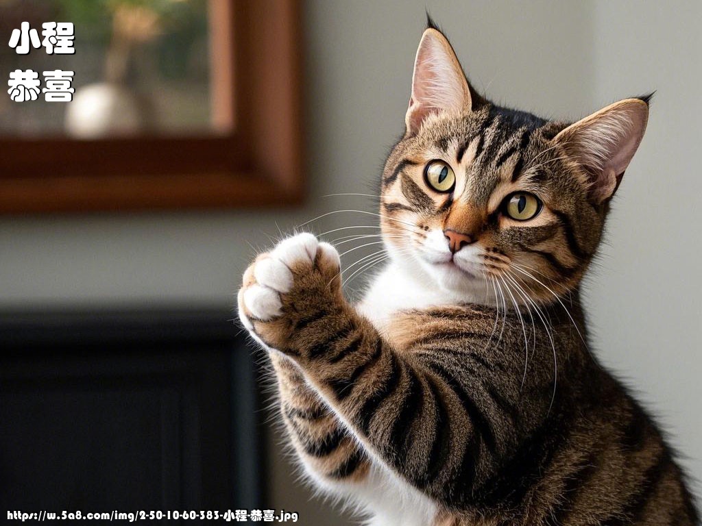 小程恭喜搞笑图片