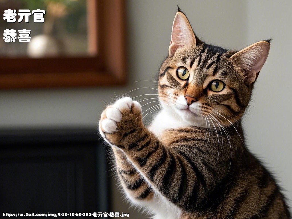 老亓官恭喜搞笑图片