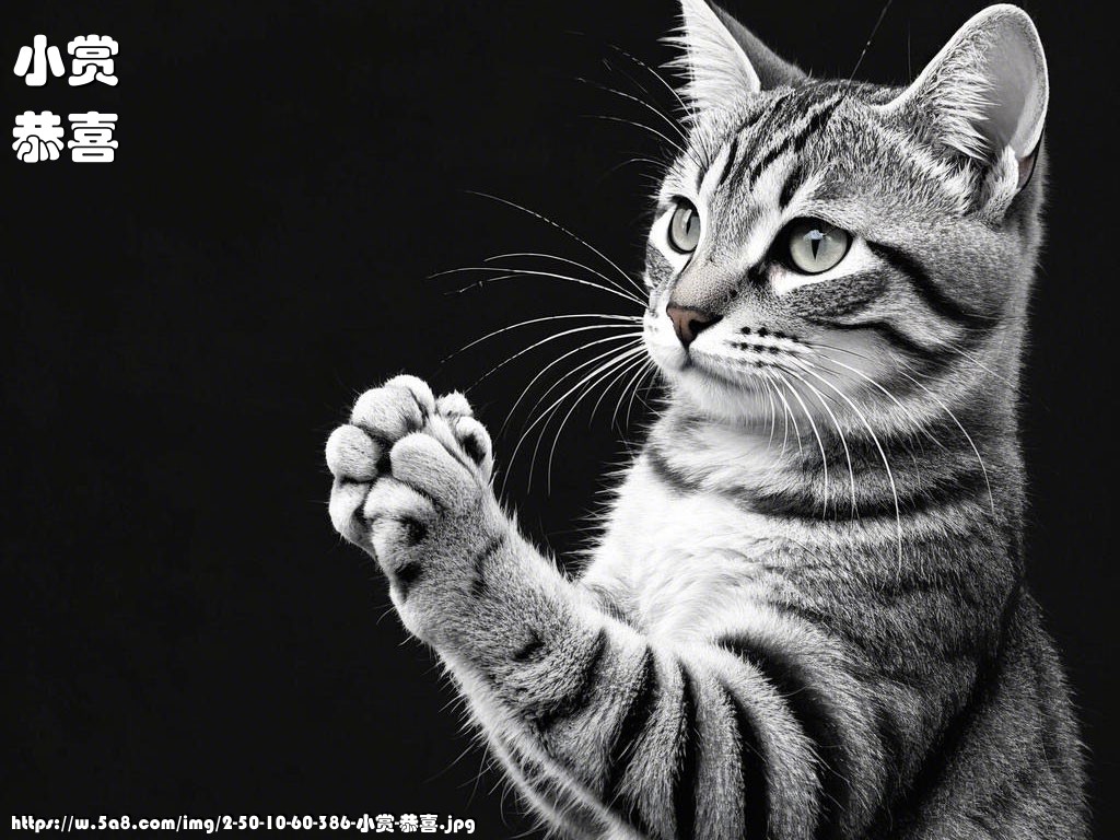 小赏恭喜搞笑图片