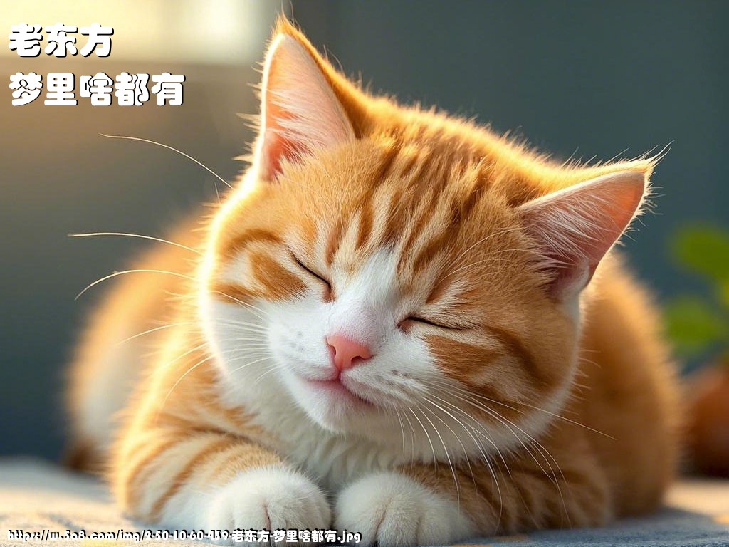 老东方梦里啥都有搞笑图片
