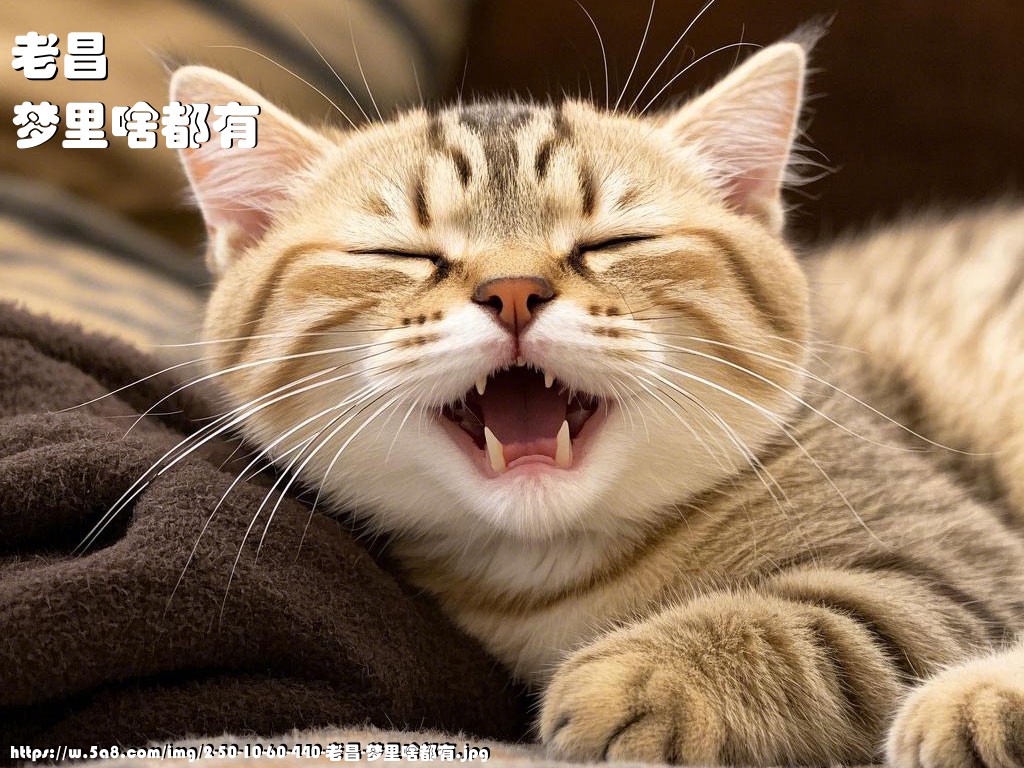 老昌梦里啥都有搞笑图片