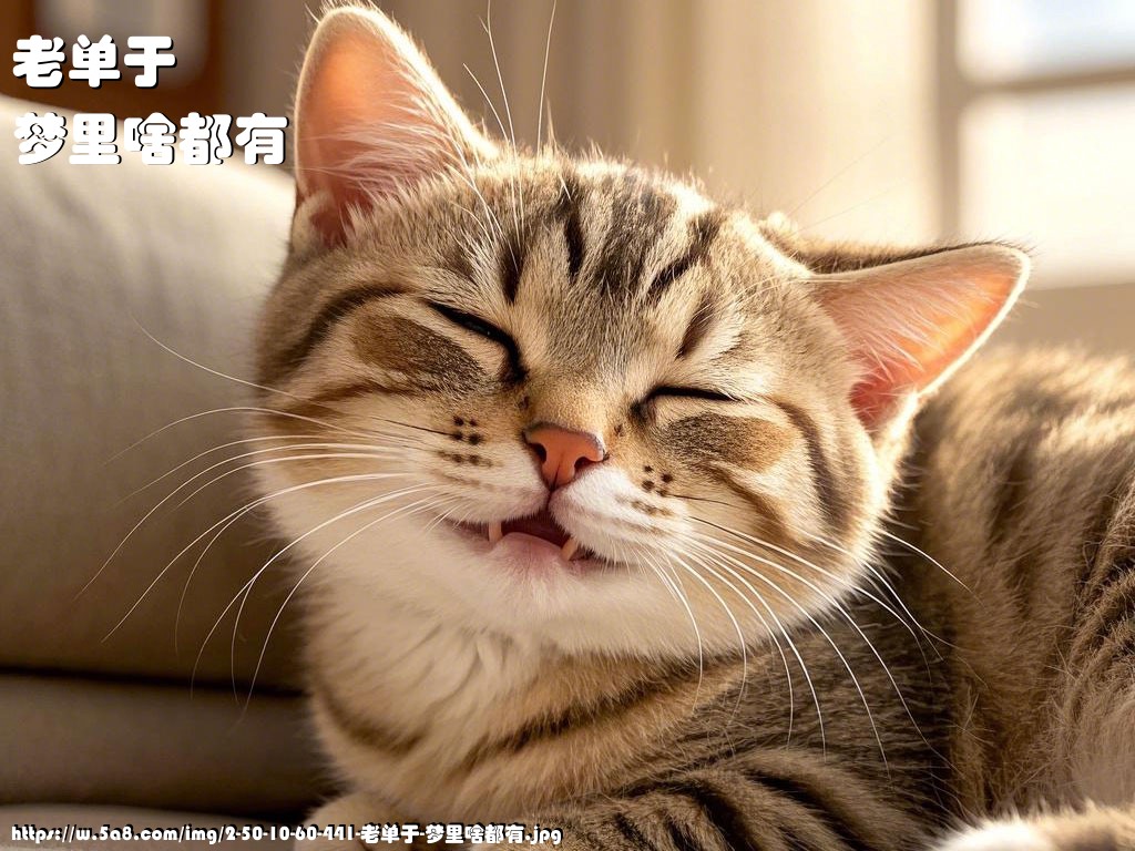 老单于梦里啥都有搞笑图片