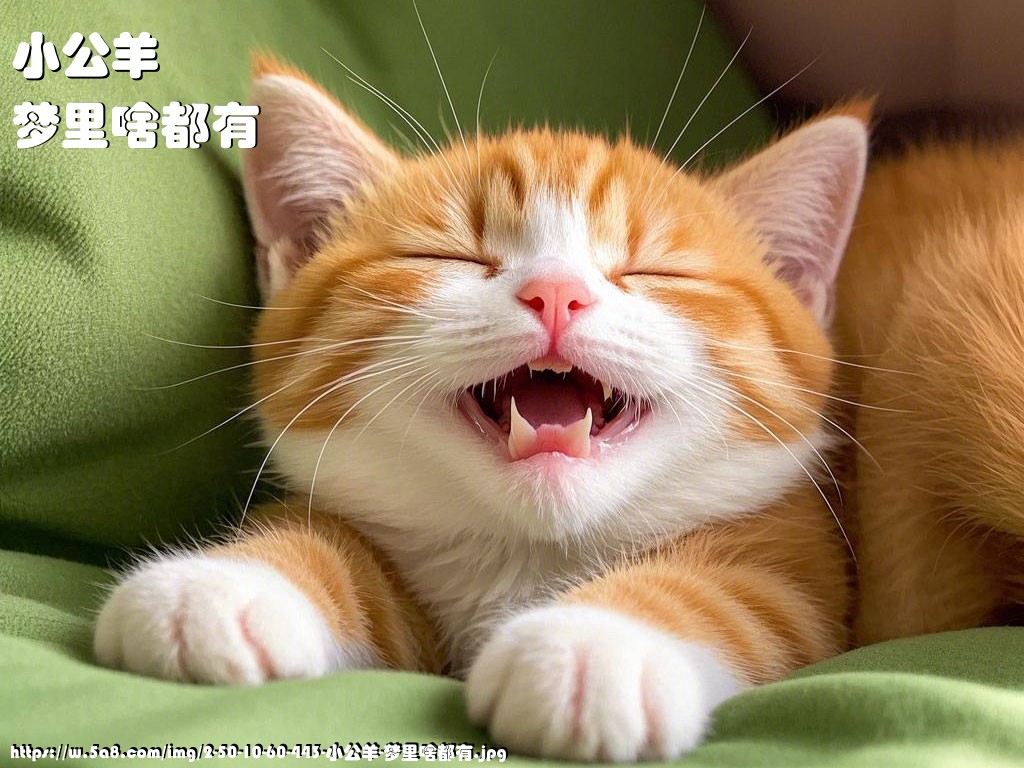 小公羊梦里啥都有搞笑图片