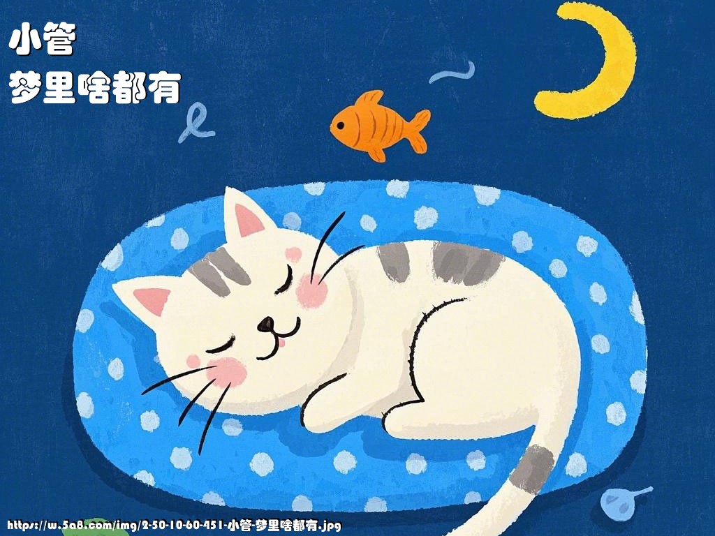 小管梦里啥都有搞笑图片