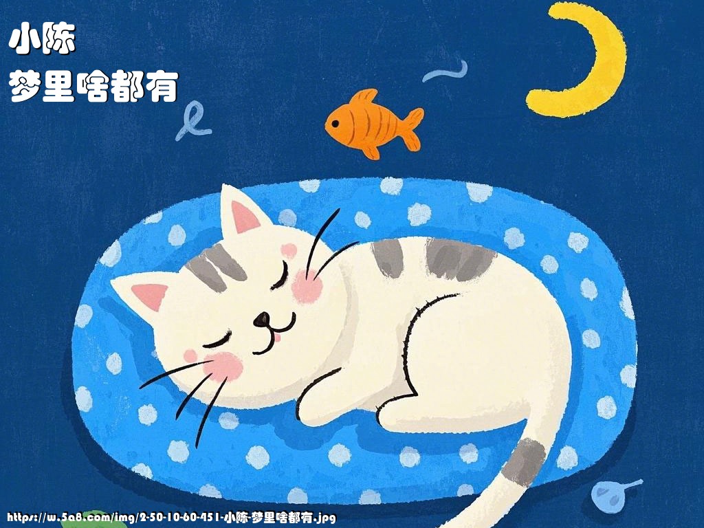 小陈梦里啥都有搞笑图片