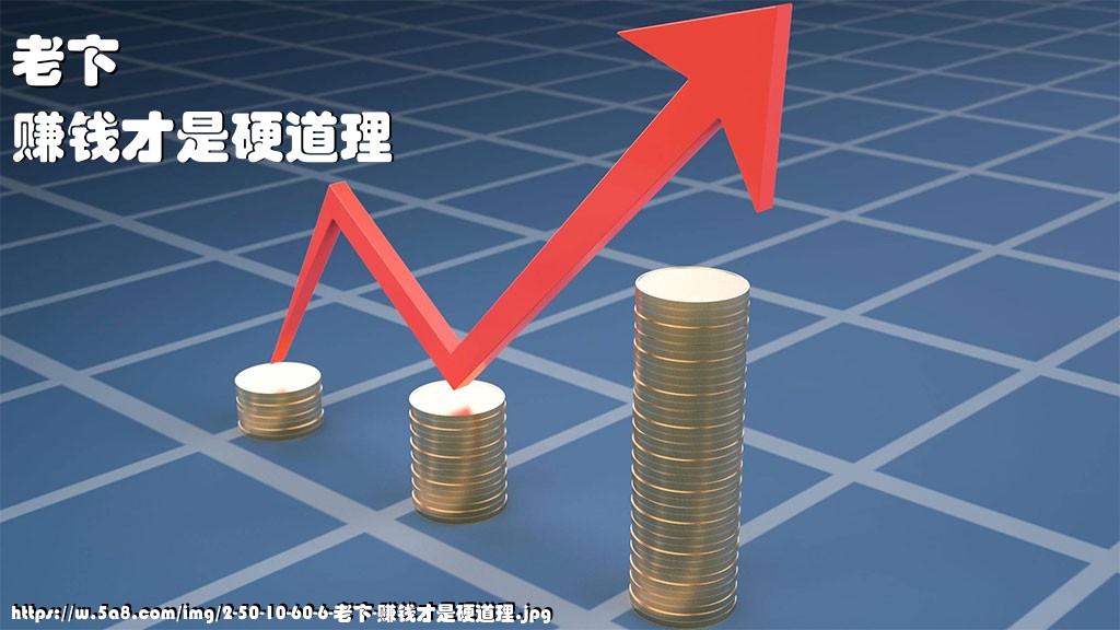 老卞赚钱才是硬道理搞笑图片