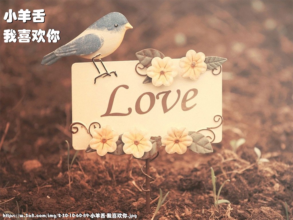 小羊舌我喜欢你搞笑图片