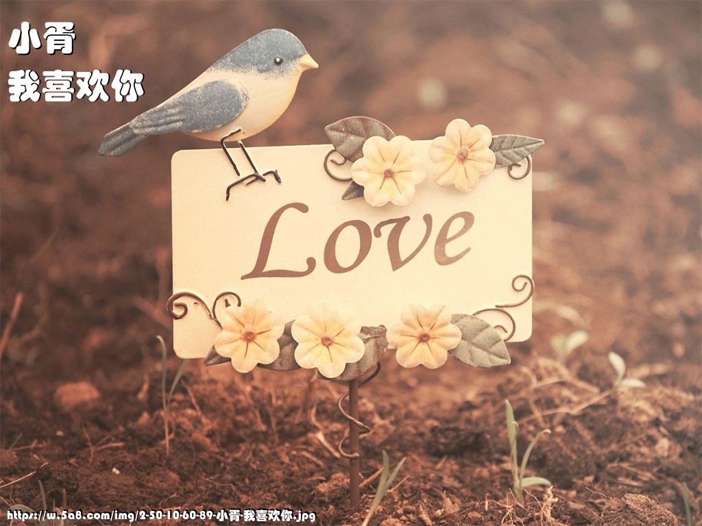 小胥我喜欢你搞笑图片