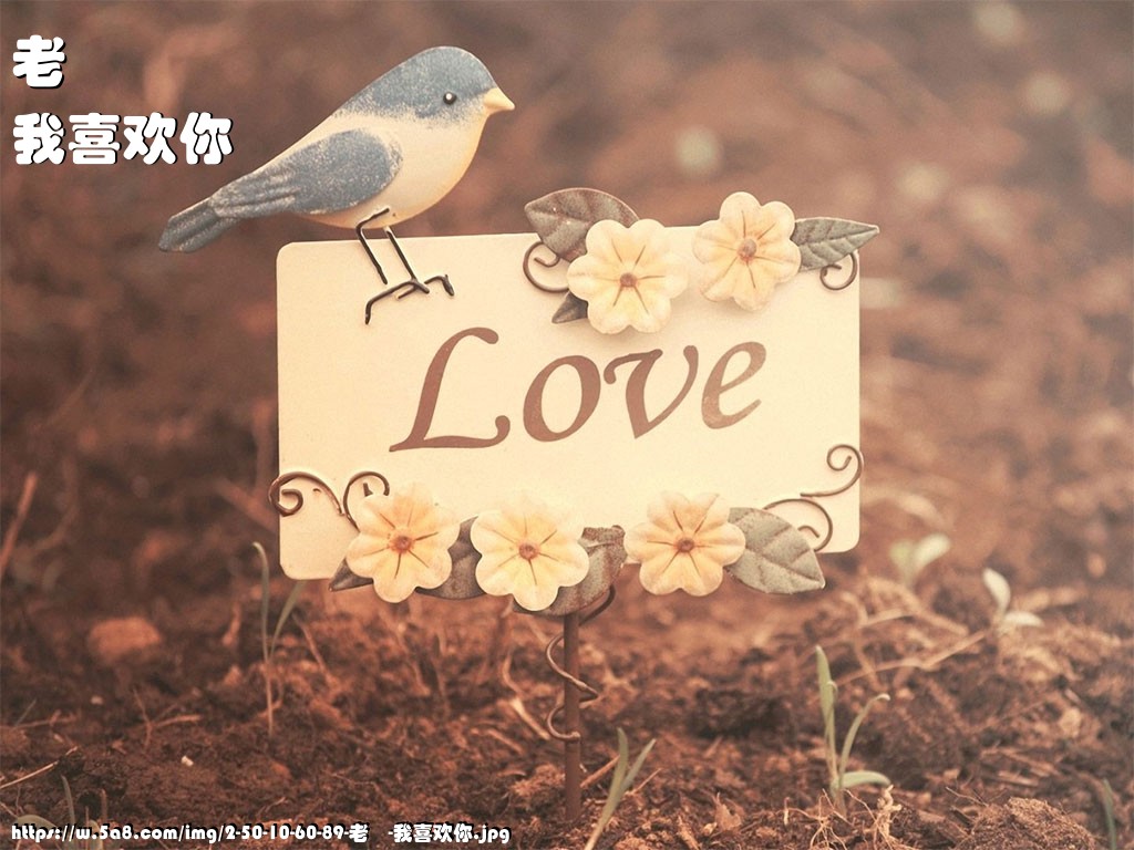 老欎我喜欢你搞笑图片