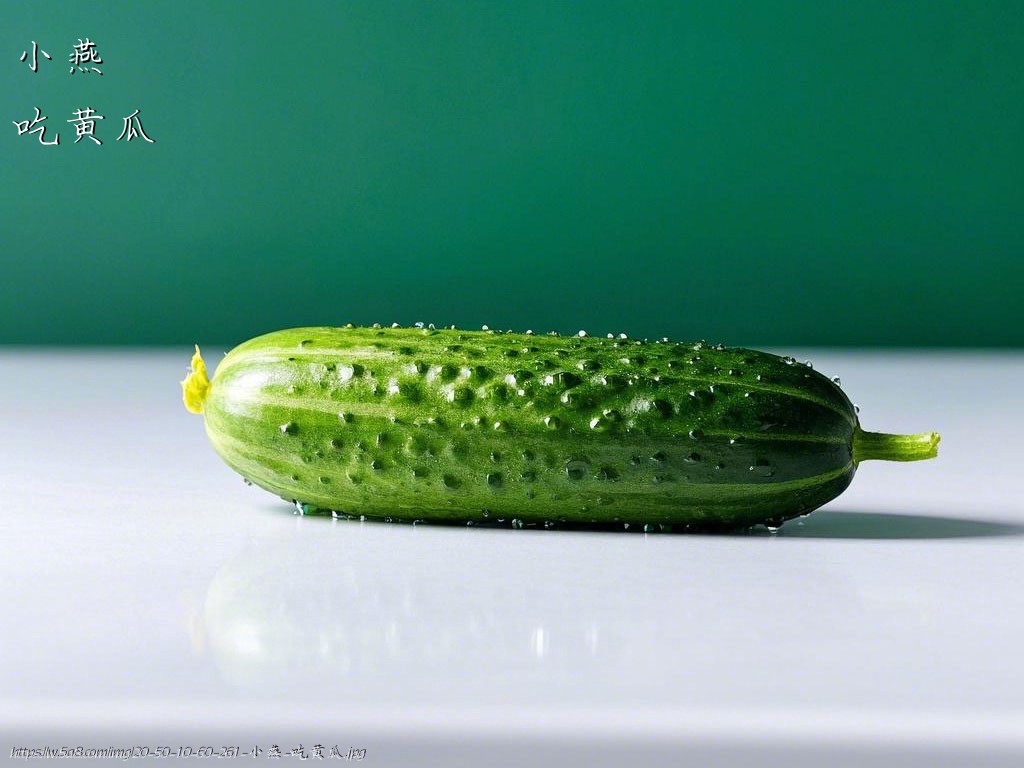 小燕吃黄瓜搞笑图片