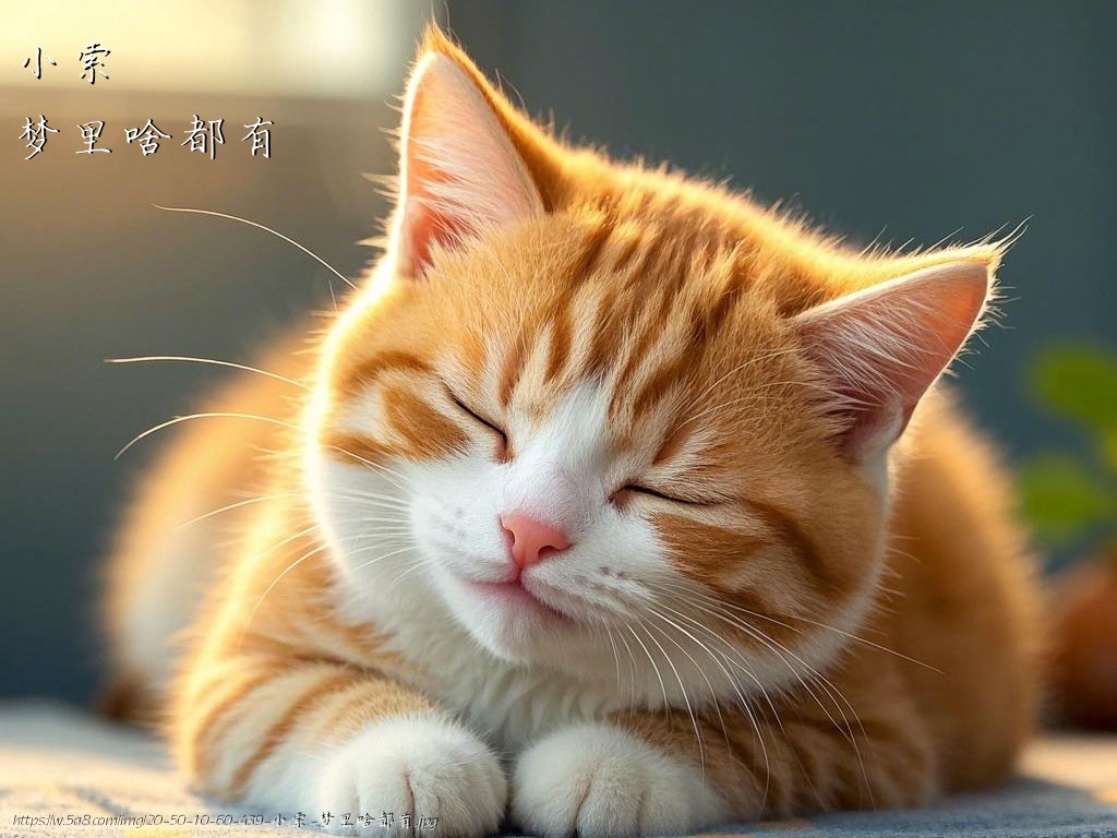 小索梦里啥都有搞笑图片