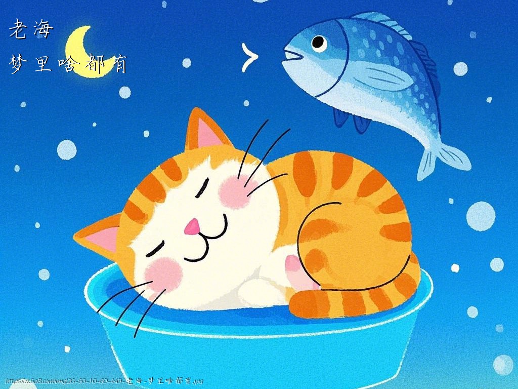 老海梦里啥都有搞笑图片