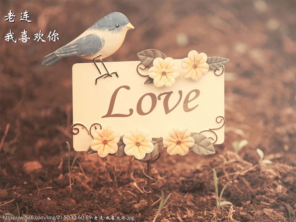 老连我喜欢你搞笑图片