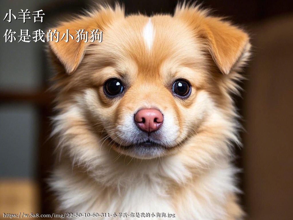小羊舌你是我的小狗狗搞笑图片