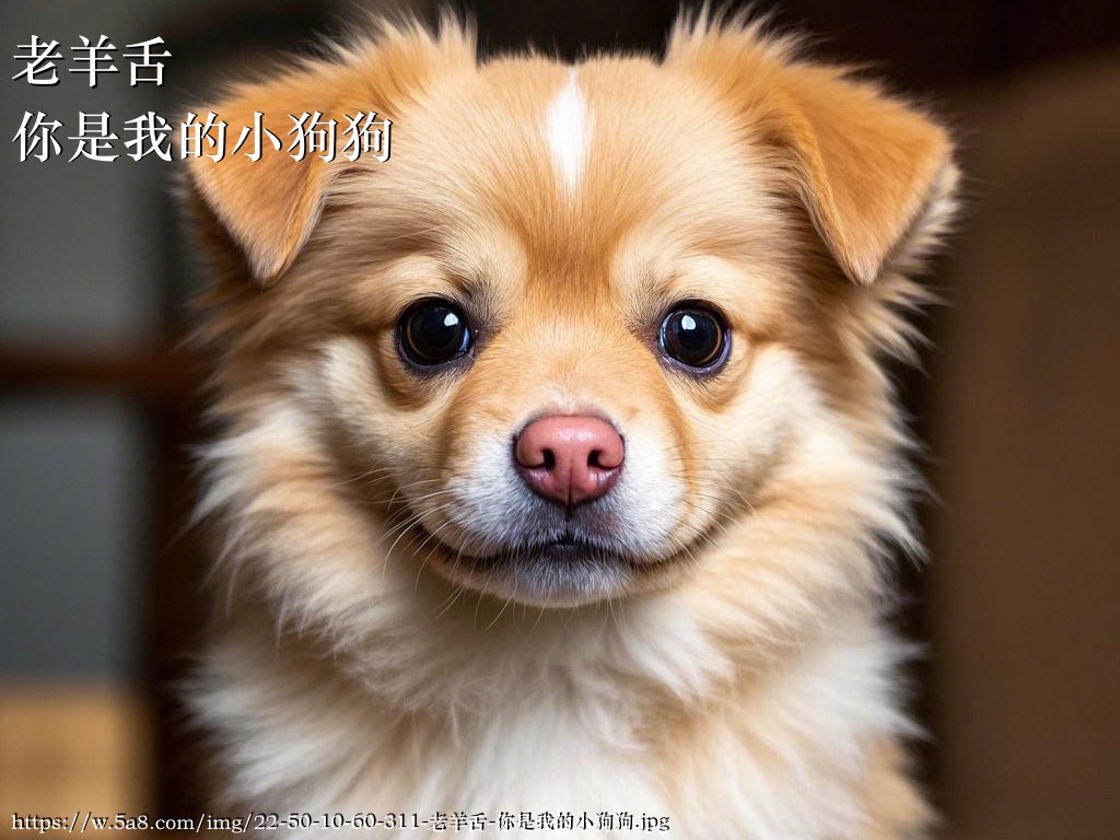 老羊舌你是我的小狗狗搞笑图片