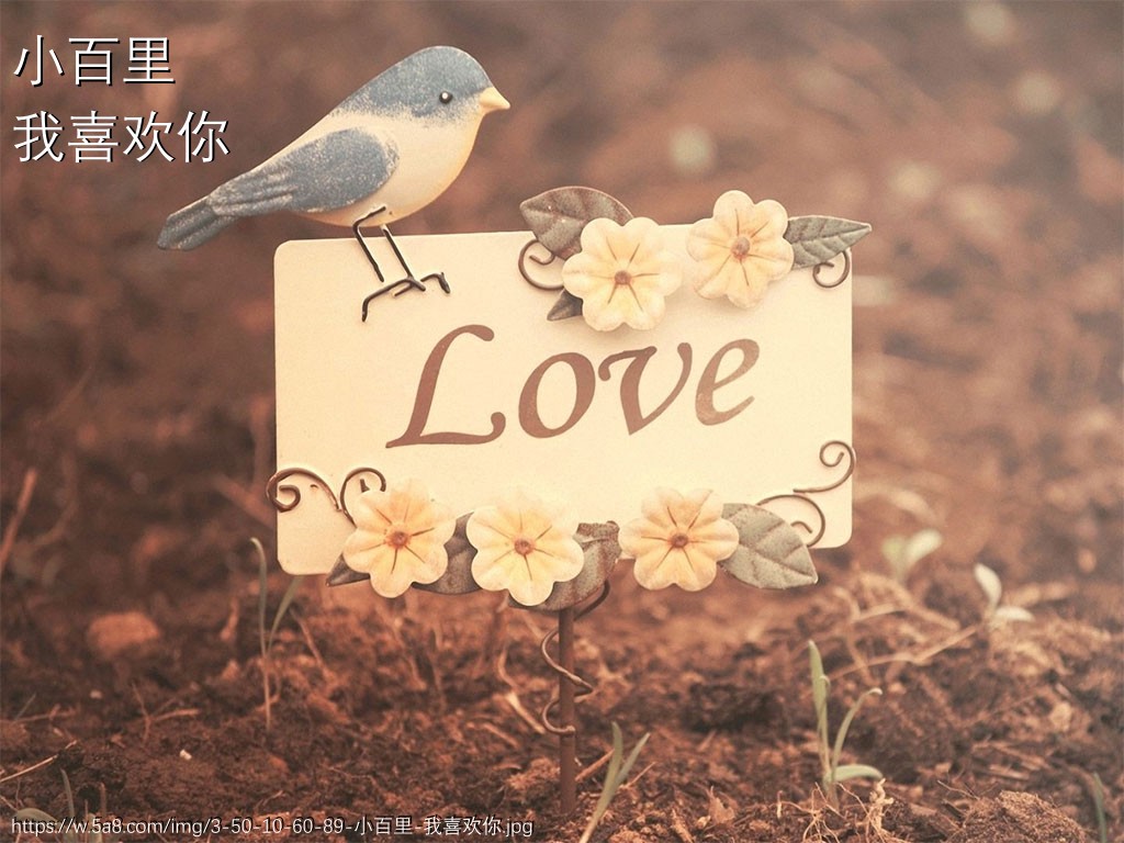 小百里我喜欢你搞笑图片