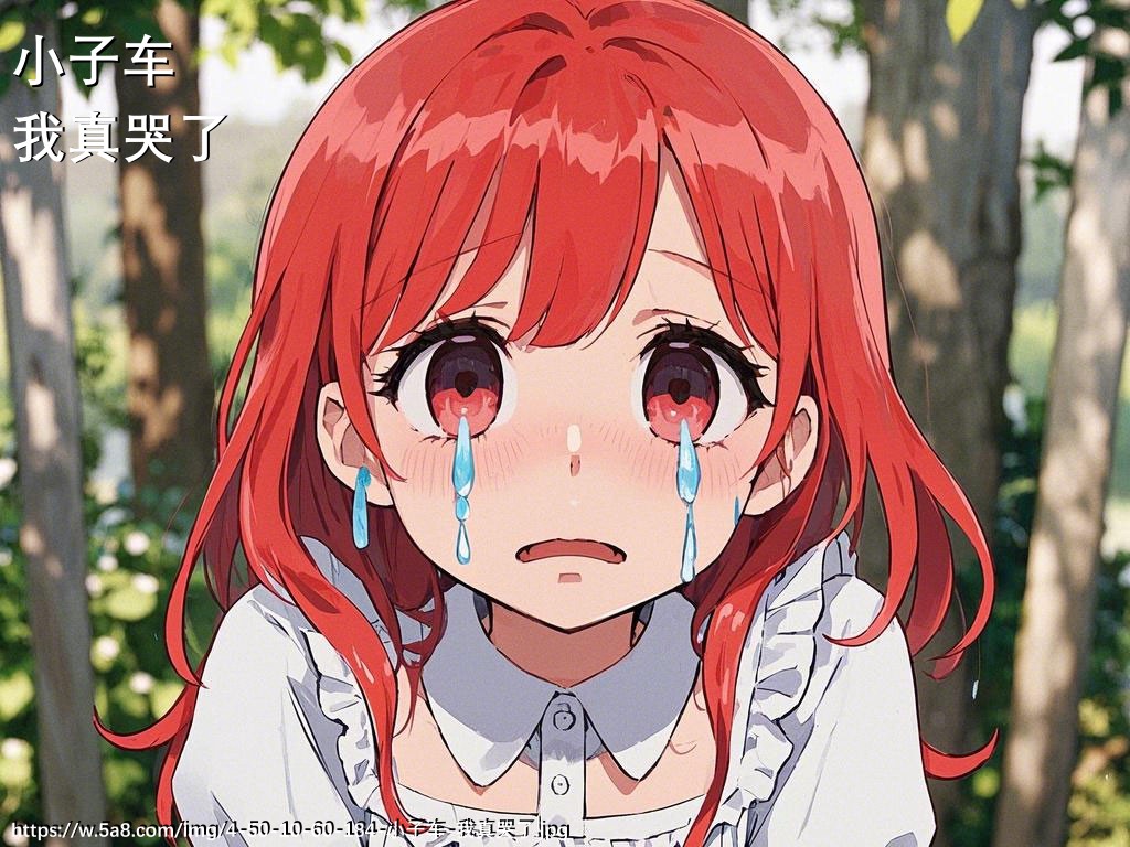 小子车我真哭了搞笑图片